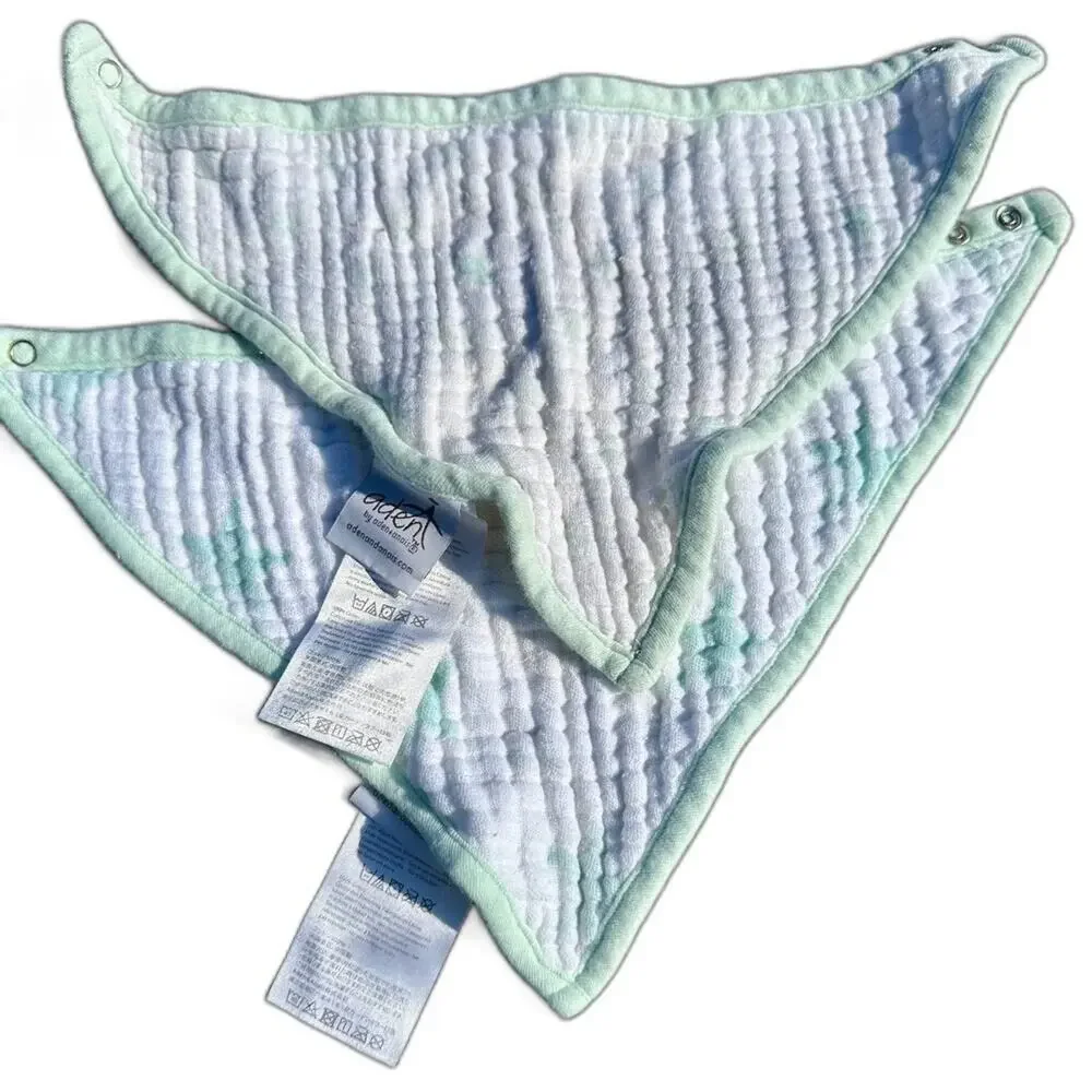 Aden & Anias Muslin Bib Set (790)